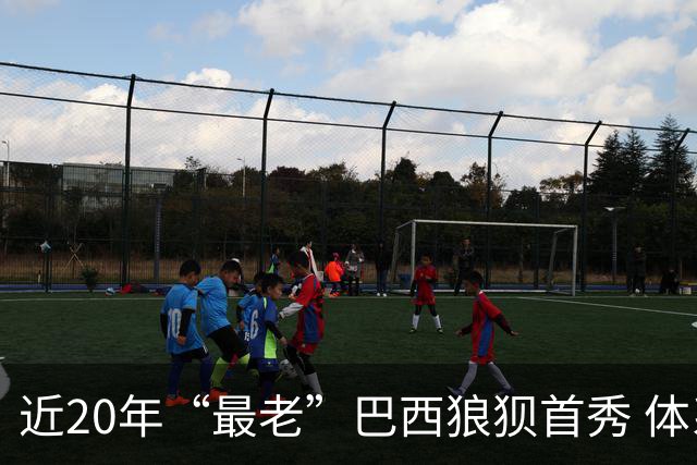 近20年“最老”巴西狼狈首秀 体系遭拆解平局已是侥幸